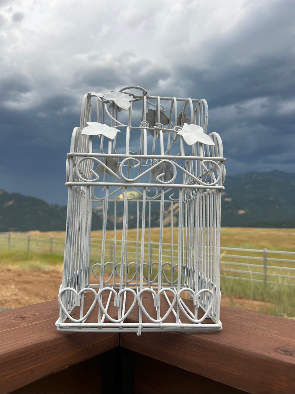 Vintage White Decorative Bird Cage Accent - Picture 4 of 8